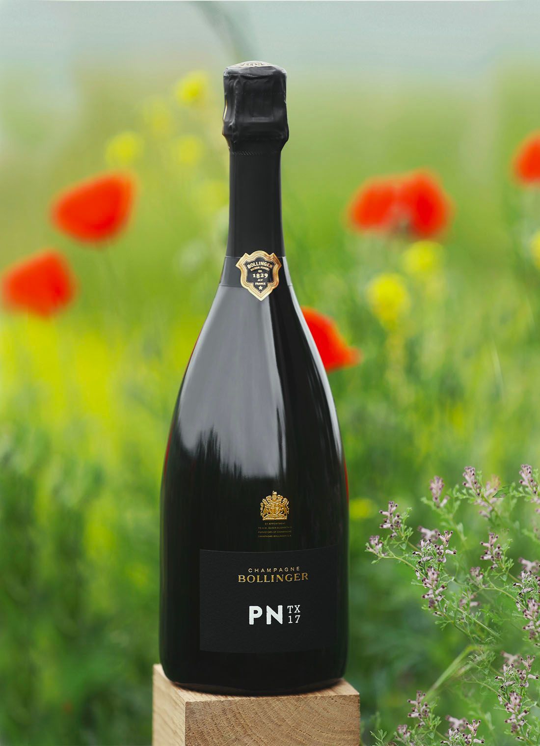 Bollinger_PNTX17_ContentEdito_01.jpg