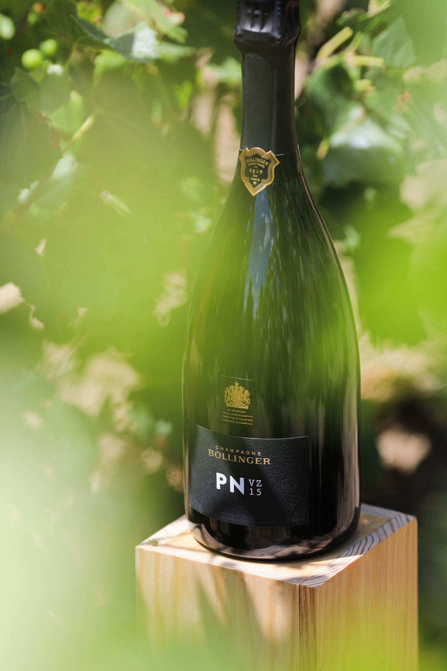 Bollinger PN VZ15 - Elegant Pinot Noir | Champagne Bollinger