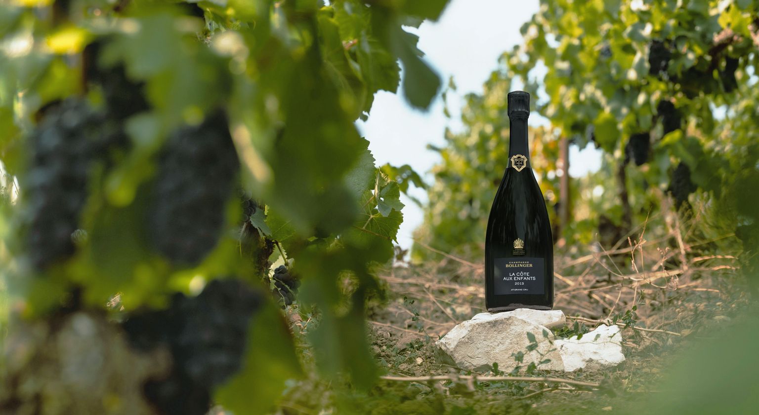 CHAMPAGNE BOLLINGER_CAEC13.jpg